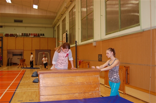 Obrázek v galerii